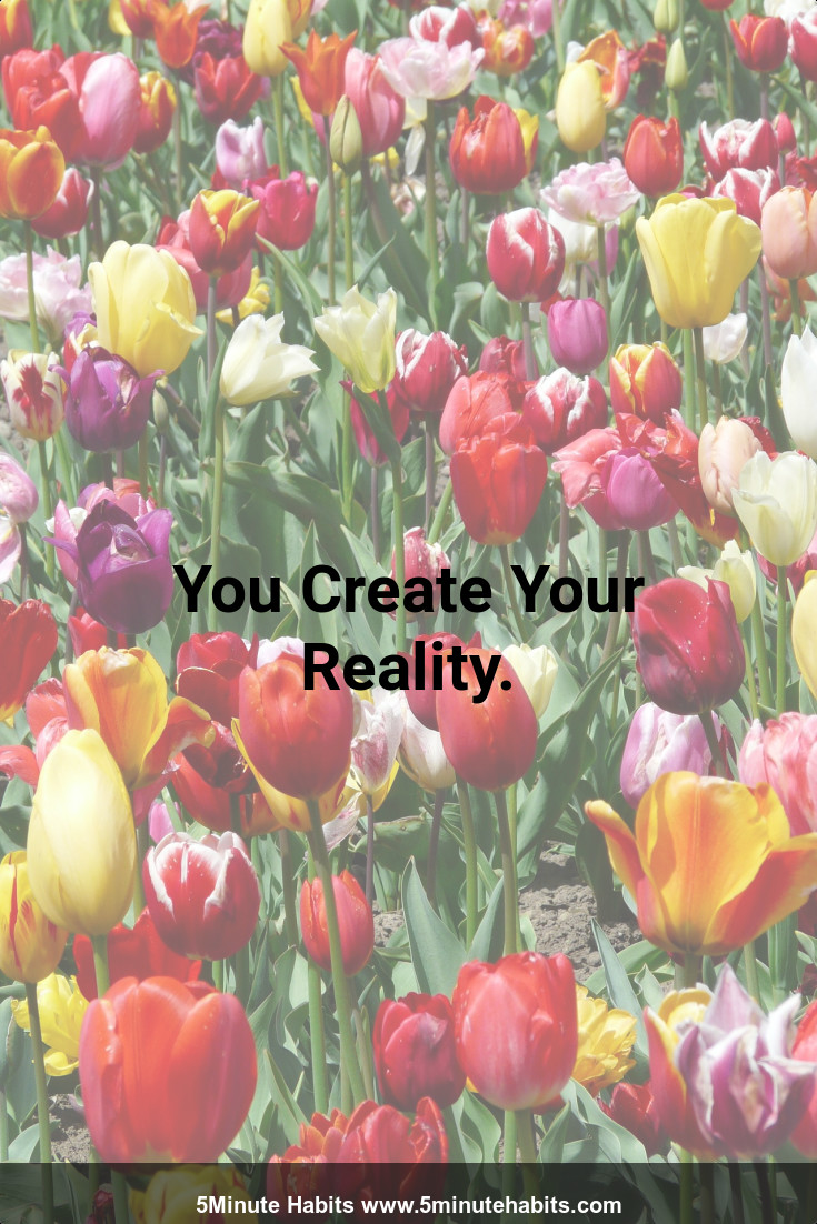 You Create Your Reality.